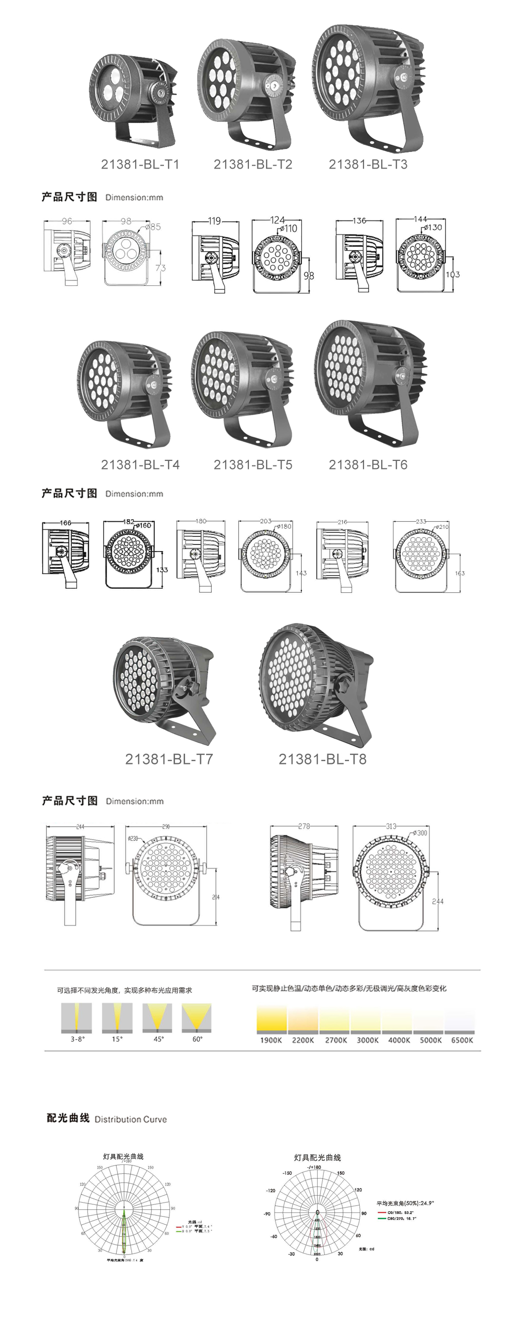 21381-4.jpg